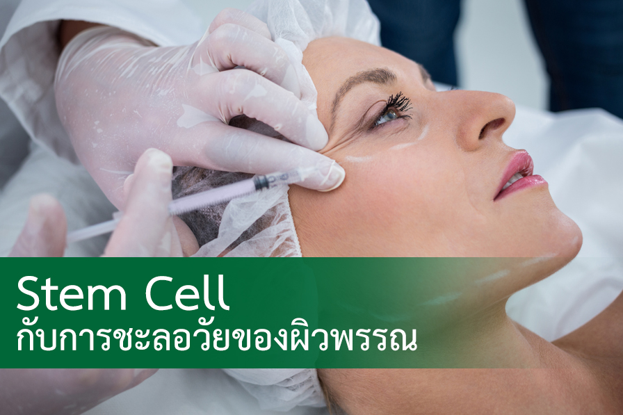Stem Cell กับการชะลอวัยของผิวพรรณ ตอนที่ 2